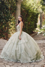 Embroidered Sleeveless Corset Ball Gown by Juliet JT1450J