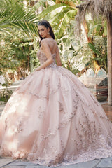 Embroidered Sleeveless Corset Ball Gown by Juliet JT1450J