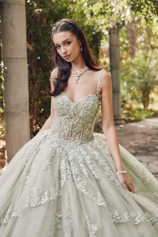 Besticktes ärmelloses Korsett-Ballkleid von Juliet JT1450J