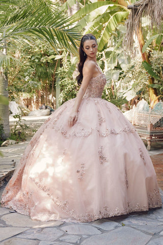 Besticktes ärmelloses Korsett-Ballkleid von Juliet JT1450J