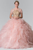 Embroidered Sleeveless Ruffled Ballgown by Elizabeth K GL2208
