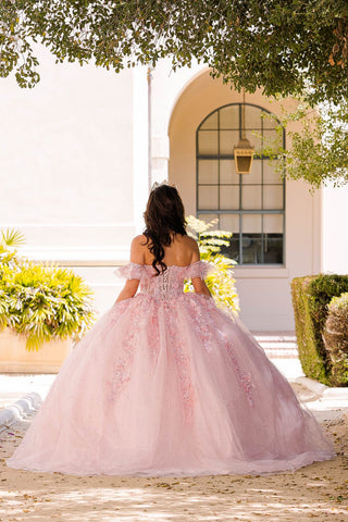 Besticktes Sweetheart-Ballkleid von Petite Adele PQ1026