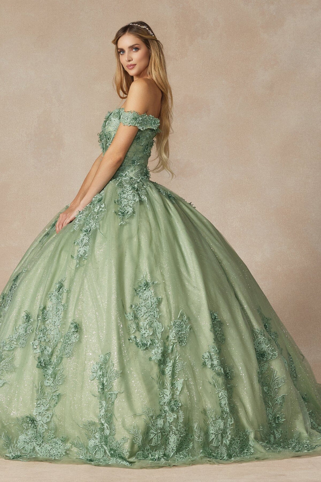Floral Applique Off Shoulder Ball Gown by Juliet 1445