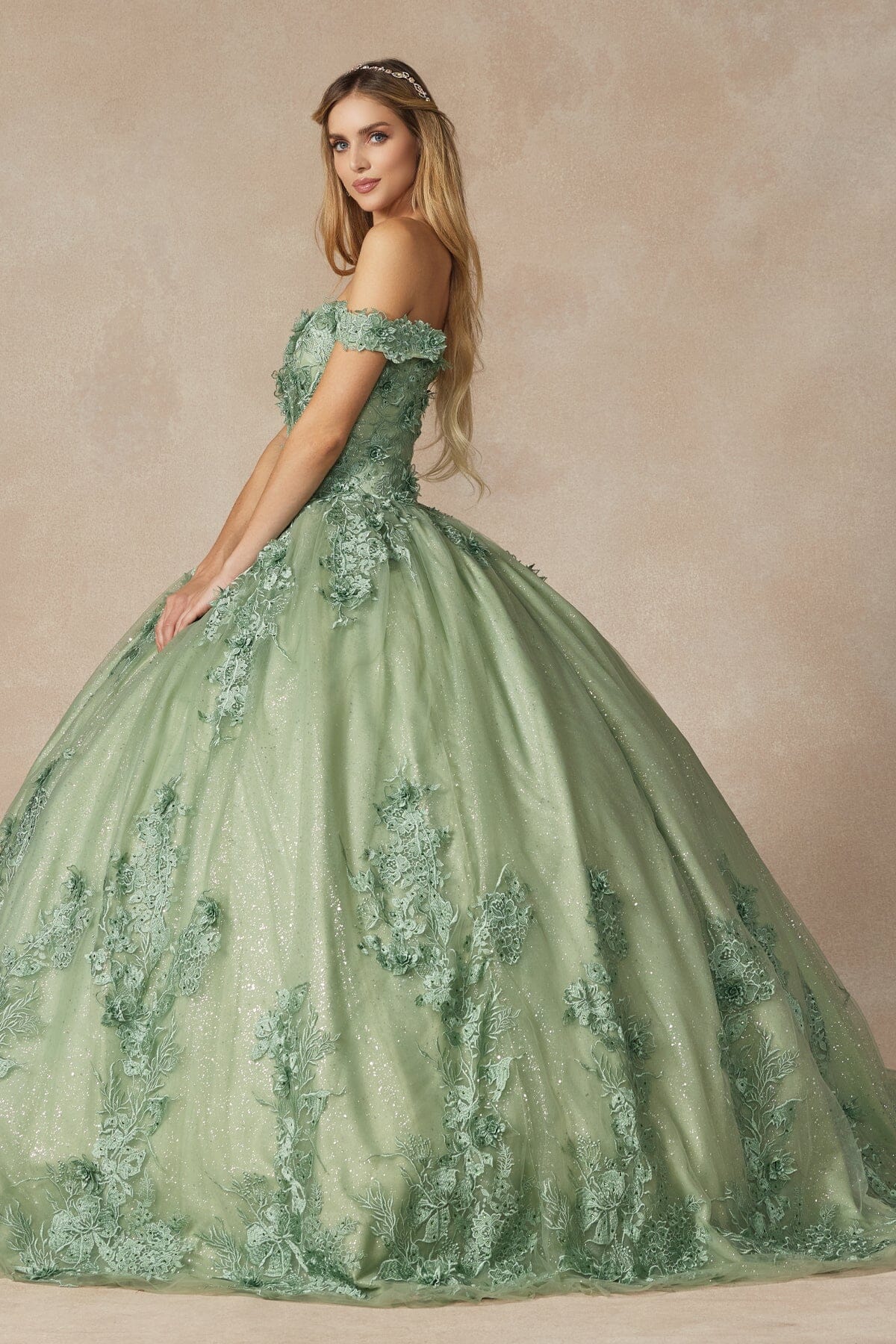 Floral Applique Off Shoulder Ball Gown by Juliet 1445