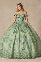 Floral Applique Off Shoulder Ball Gown by Juliet 1445