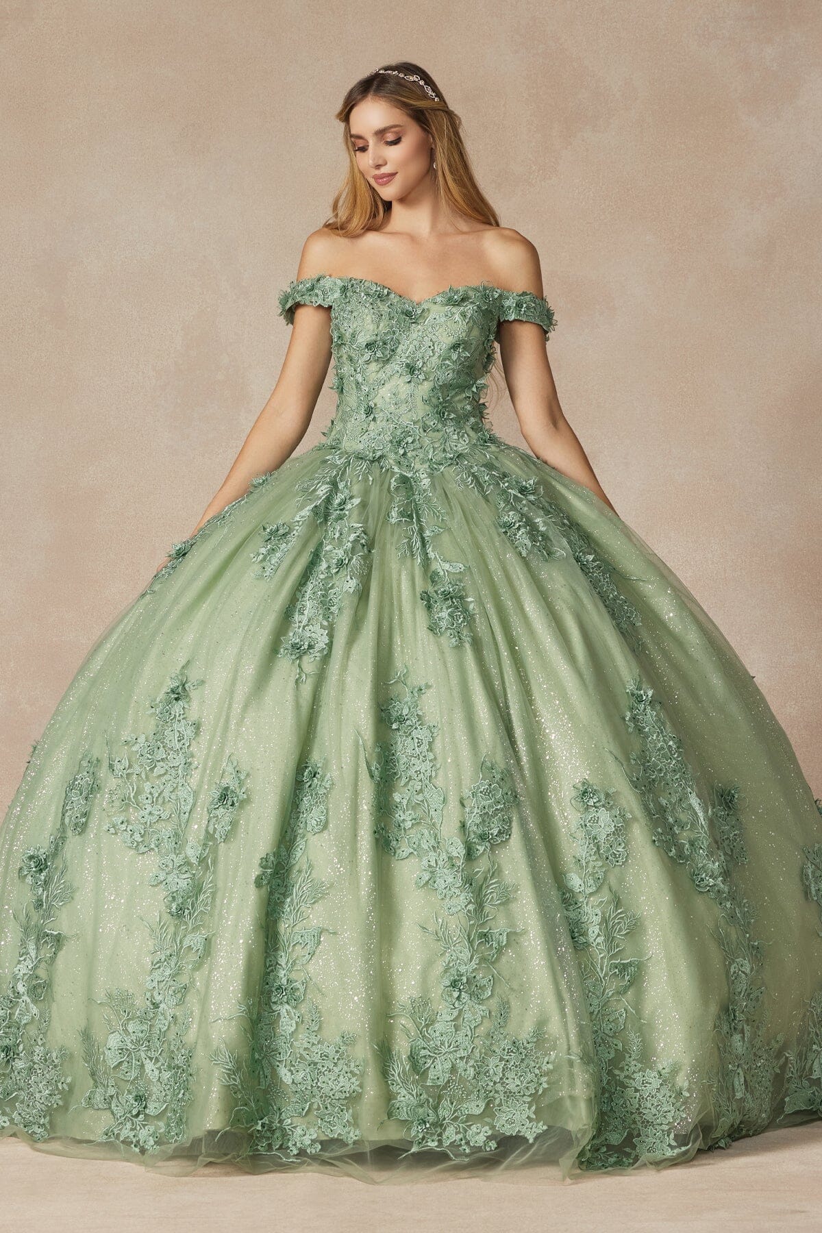 Floral Applique Off Shoulder Ball Gown by Juliet 1445