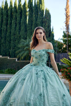 Floral Applique Off Shoulder Ball Gown by Juliet 1445