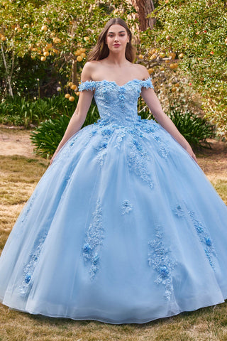 Schulterfreies Ballkleid mit Blumenapplikation von Ladivine 15702