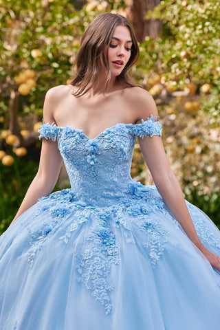 Schulterfreies Ballkleid mit Blumenapplikation von Ladivine 15702