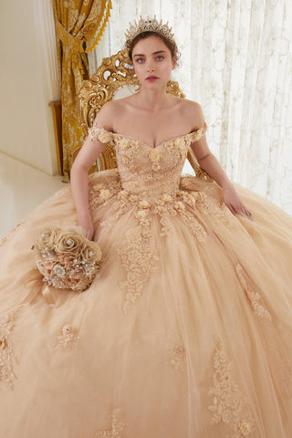 Schulterfreies Ballkleid mit Blumenapplikation von Ladivine 15702