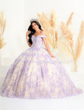 Robe de Quinceañera à Appliqué Floral par Fiesta Gowns 56445