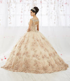Quinceanera-Kleid mit Blumenstickerei von House of Wu 26918