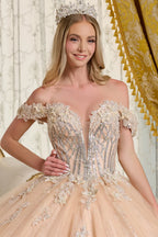 Off Shoulder Ball Gown by Elizabeth K GL3630