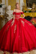 Off Shoulder Ball Gown by Elizabeth K GL3631