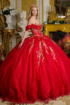 Off Shoulder Ball Gown by Elizabeth K GL3631