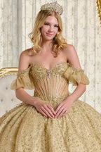 Off Shoulder Ball Gown by Elizabeth K GL3632