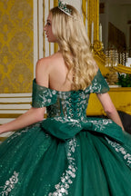 Off Shoulder Ball Gown by Elizabeth K GL3636