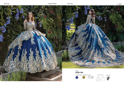 Langärmliges Quinceanera-Kleid von Ragazza DV56-556