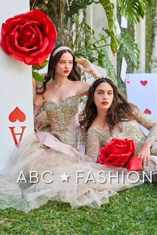 Langärmliges Quinceanera-Kleid von Ragazza DV56-556