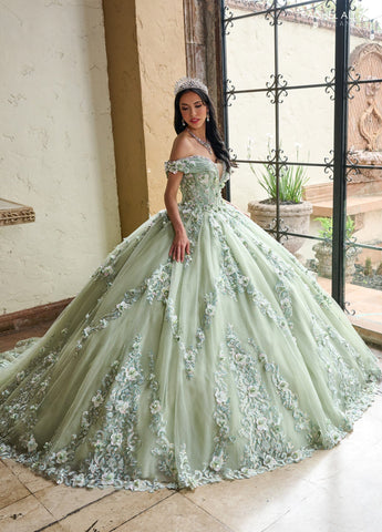 Vestido de quinceanera ombro a ombro, de Rachel Allan RQ2204