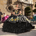 Quinceanera-Kleid mit Rüschen und Sonnenblumenmuster von Ragazza M46-146
