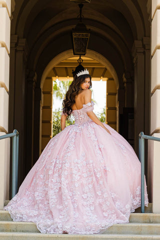Transparentes Korsett-Ballkleid mit Herzausschnitt von Petite Adele PQ1022