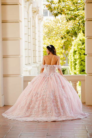 Transparentes Korsett-Ballkleid mit Herzausschnitt von Petite Adele PQ1022