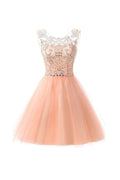 Robe courte en tulle avec perles pour bal de fin d'études, robe de bal et robe de soirée PG076