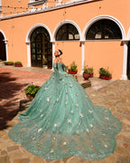 Sleeveless Angel Sleeve Quinceanera Dress by Amarra 54293