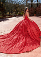 Sleeveless Corset Quinceanera Dress by Rachel Allan RQ1127