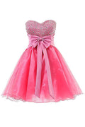 Herzförmiger Ausschnitt Organza Kurze Ballkleider Homecoming Kleider PG063